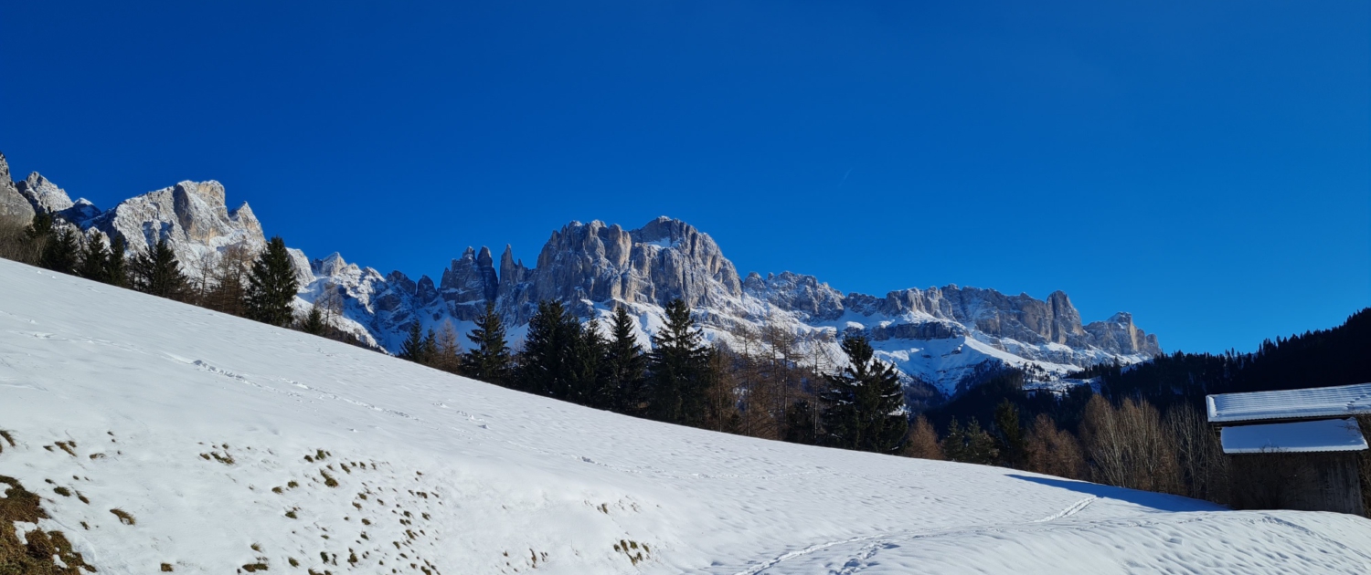 Tschamintal - Schneeschuhwanderung Rückweg