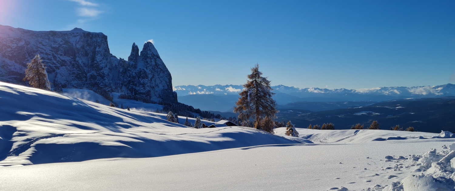 Seiser Alm mit Schlern