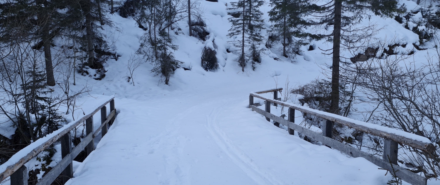 Winterwanderung Brogleshütte - Brücke über den Broglesbach