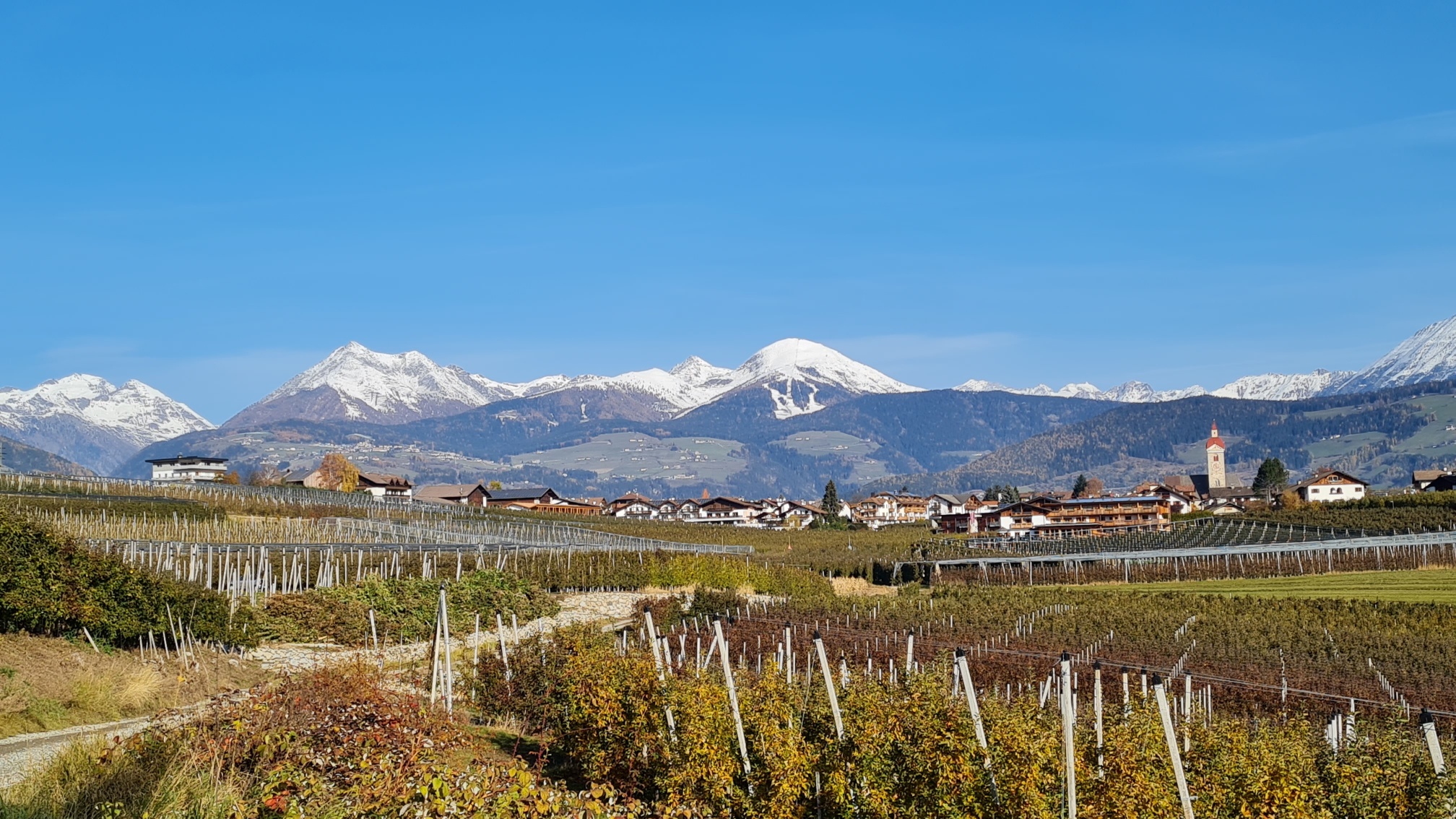 Eisacktaler Wein- und Apfelweg