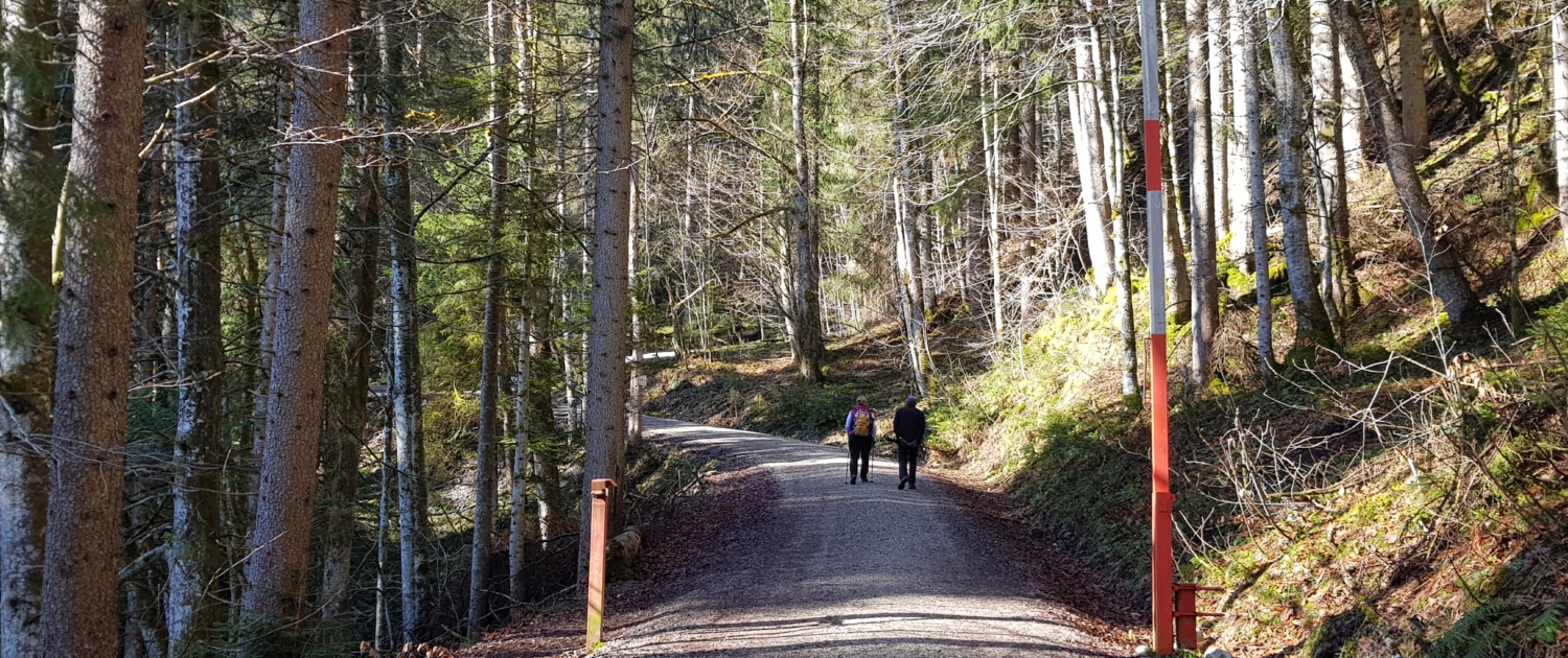 Wanderweg zur Aueralm 