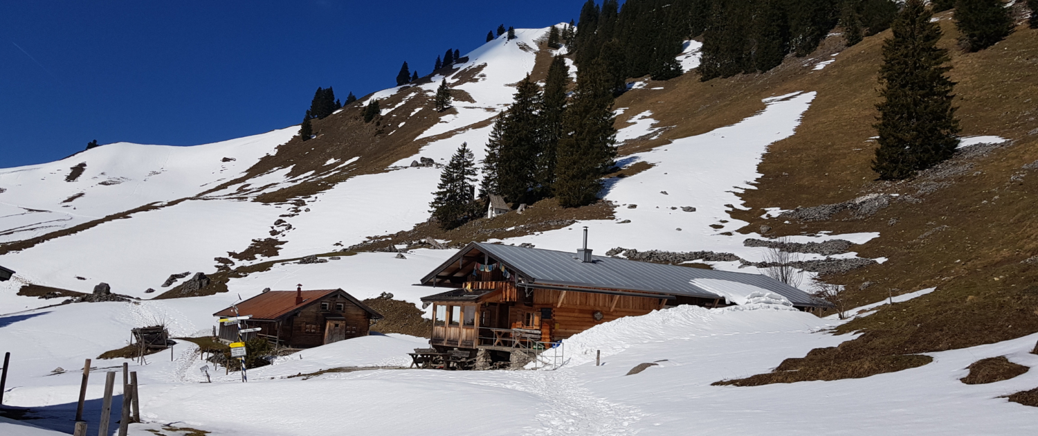 Wanderung Fockenstein - Neuhüttenalm