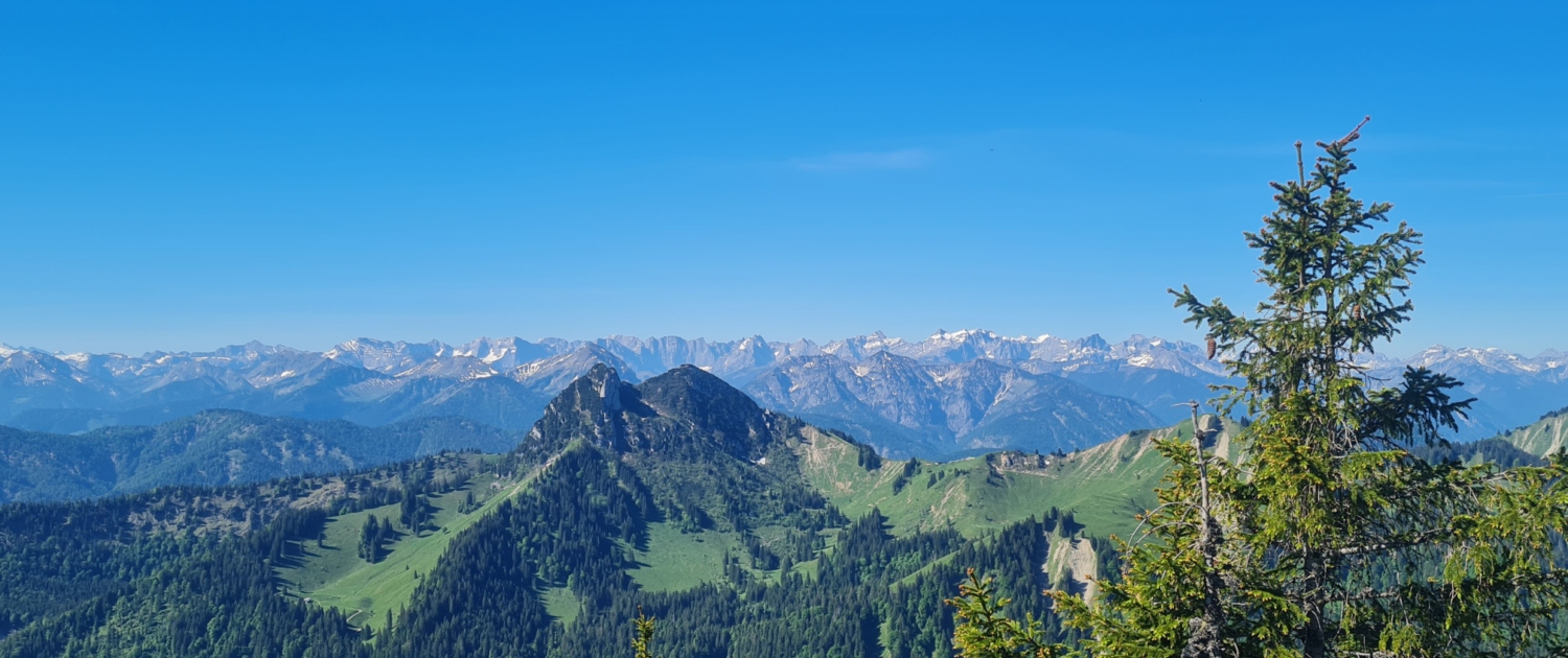 Wanderung auf den Hirschberg - Gipfelblick nach Süden