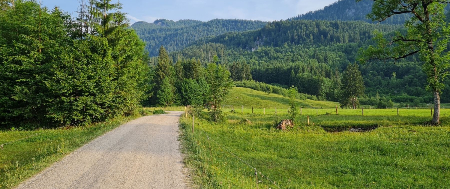 Wanderung auf die Benediktenwand - Start am Parkplatz