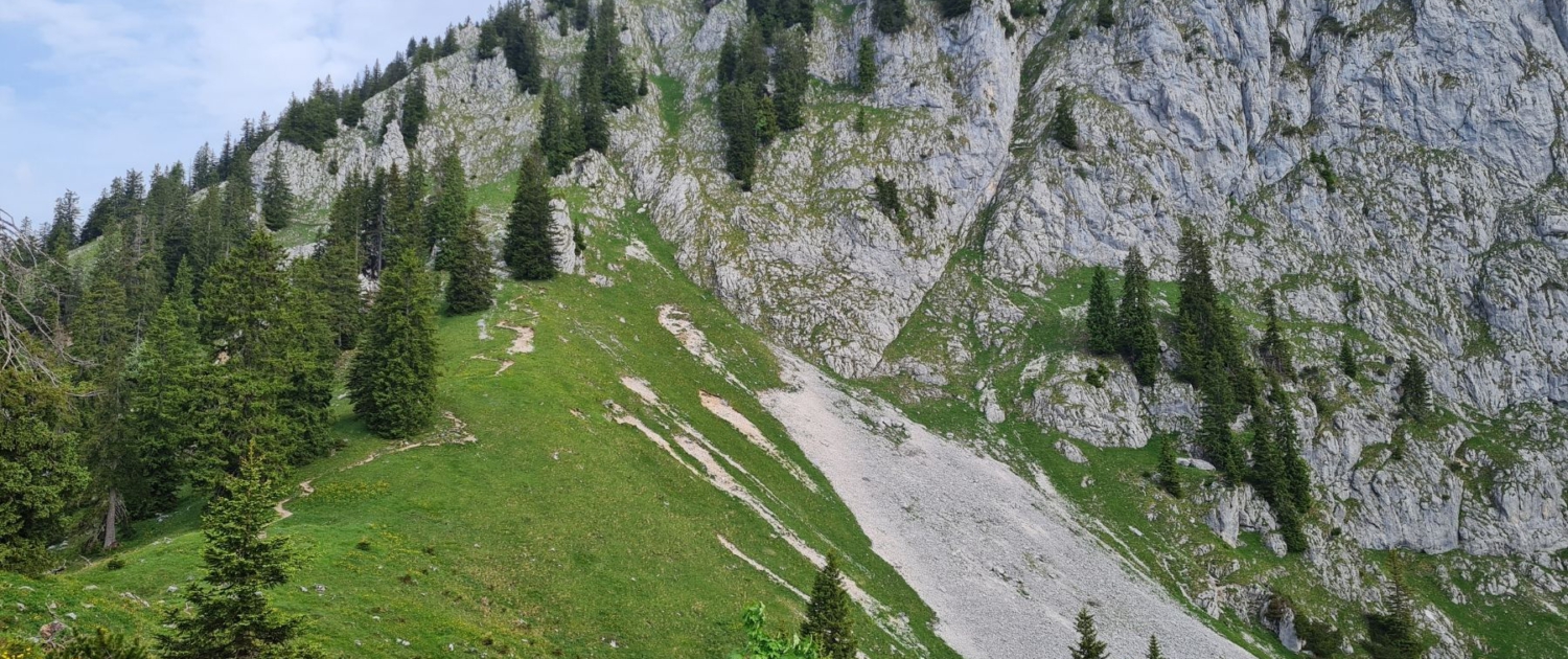 Wanderung auf die Benediktenwand - Aufstieg Altweibersteig