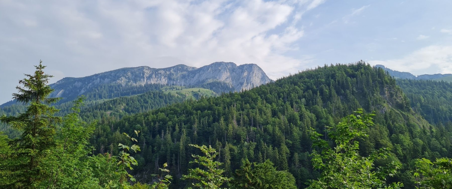 Wanderung auf die Benediktenwand - Blick auf das heutige Ziel