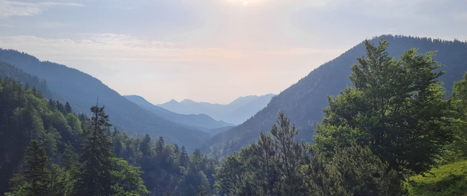 Wanderung auf die Benediktenwand - Blick ins Schwarzenbachtal