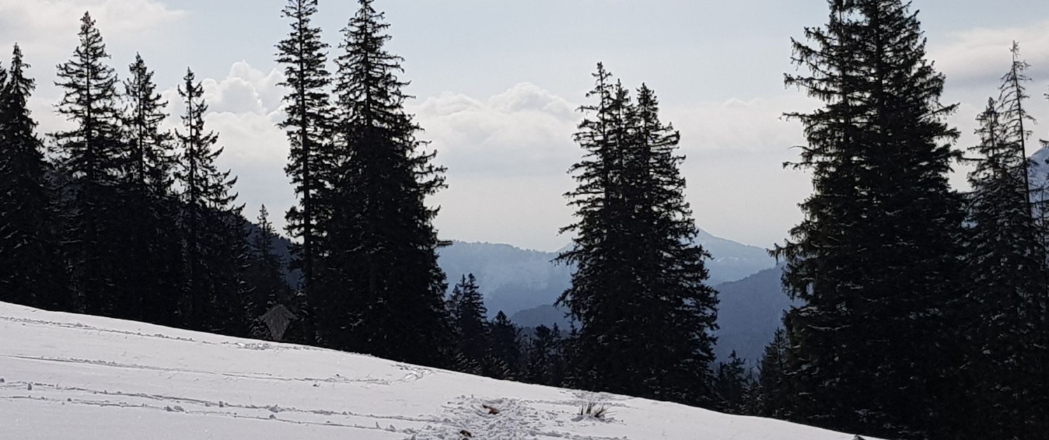 Winterwanderung Bodenschneid: Blick von der Bodenalm