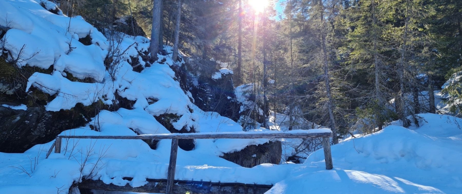 Winterwanderung Brogleshütte - Querung Klieferbach