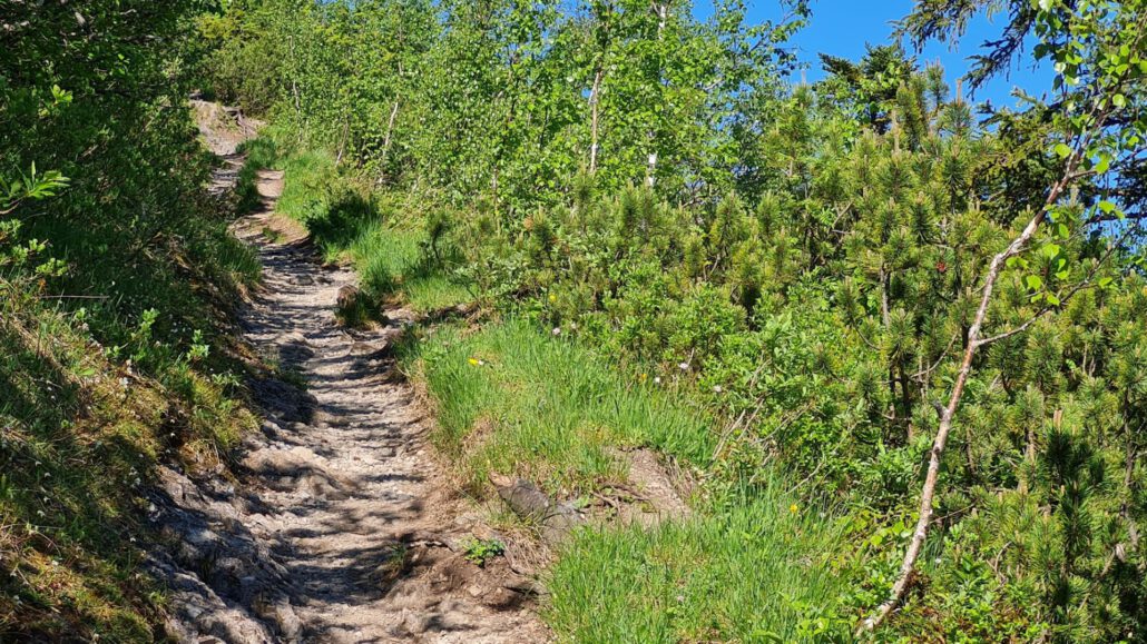 Wanderung auf den Hirschberg - Aufstieg