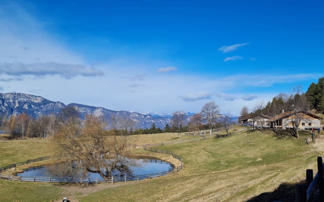 Wanderung auf die Cisloner Alm