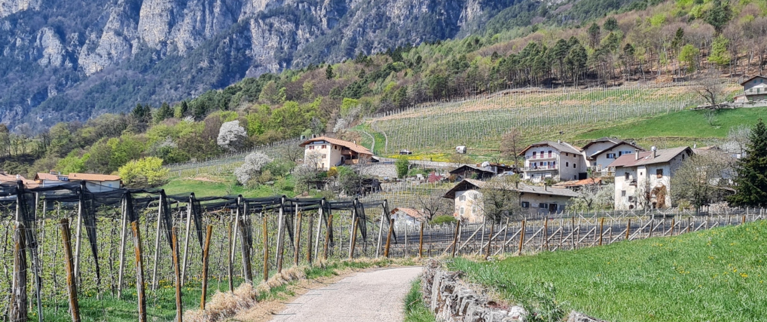 Traminer Höhenweg - Graun