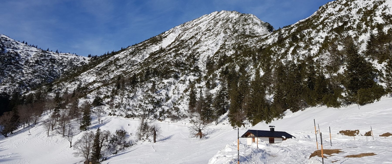 Schlehdorfer Alm, Aufstieg Herzogstand