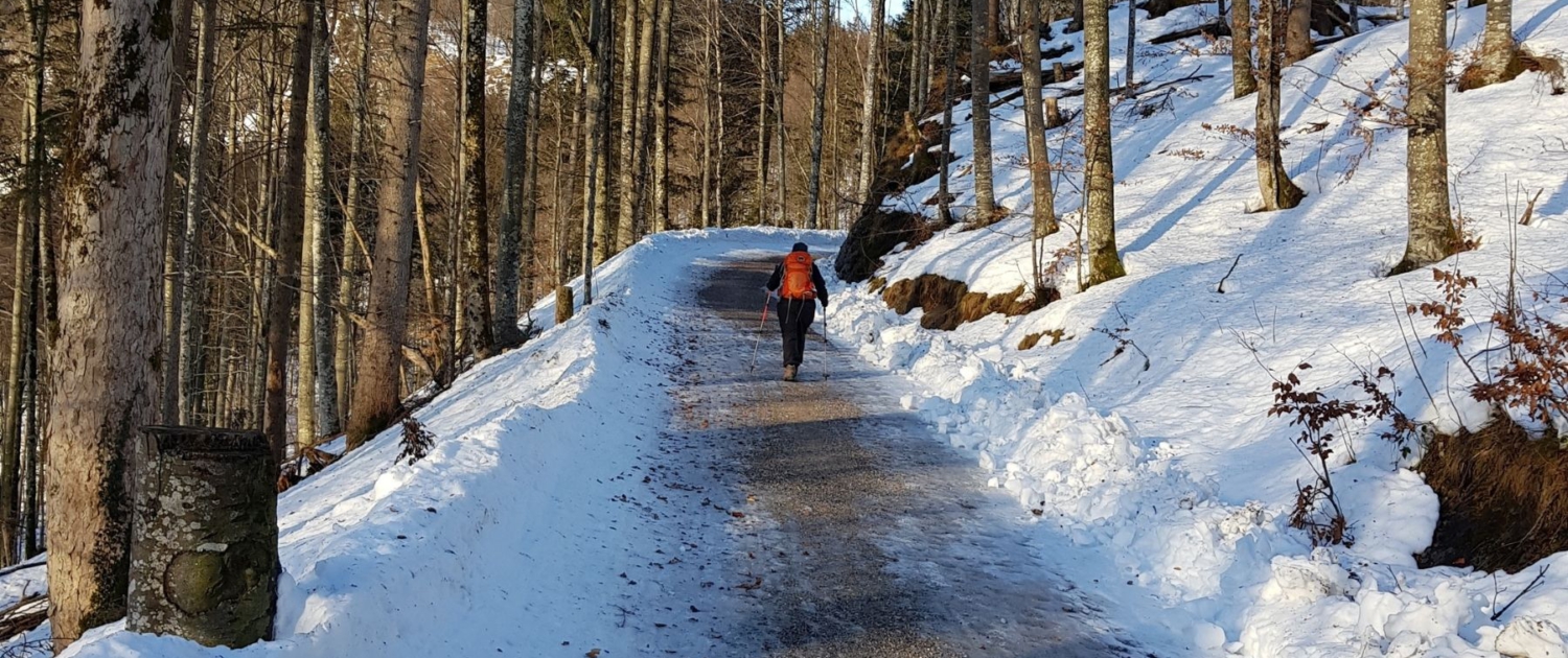 Wanderung auf Herzogstand