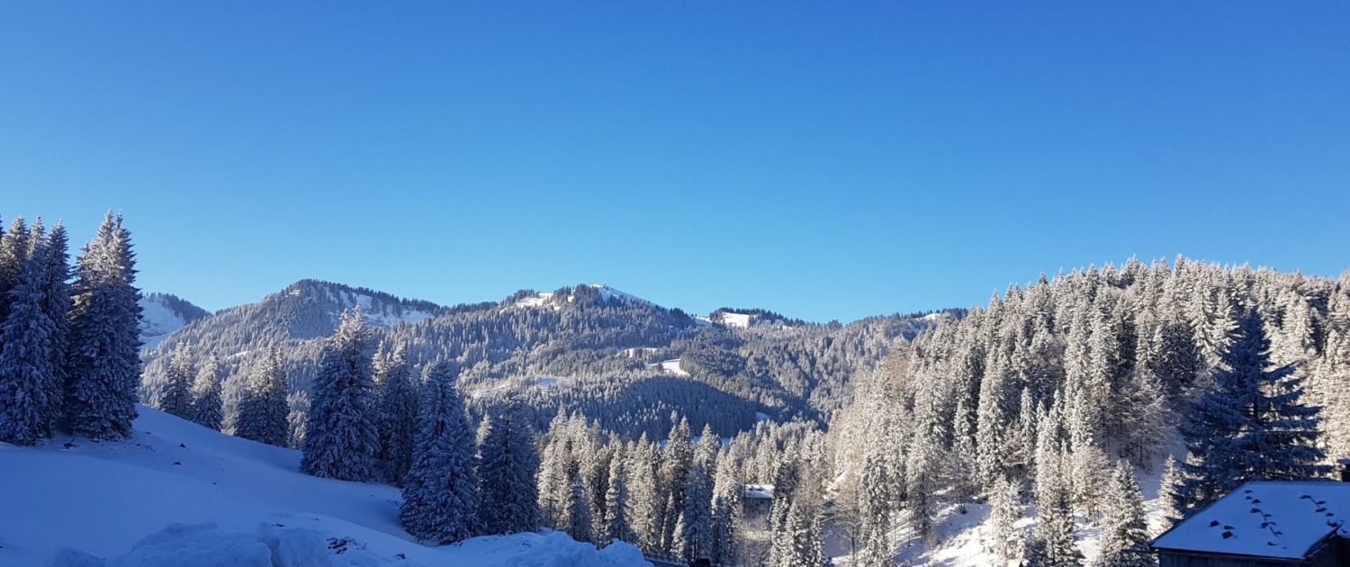 Mit Schneeschuhen zum Jägerkamp: Start Wanderparkplatz Spitzingsattel