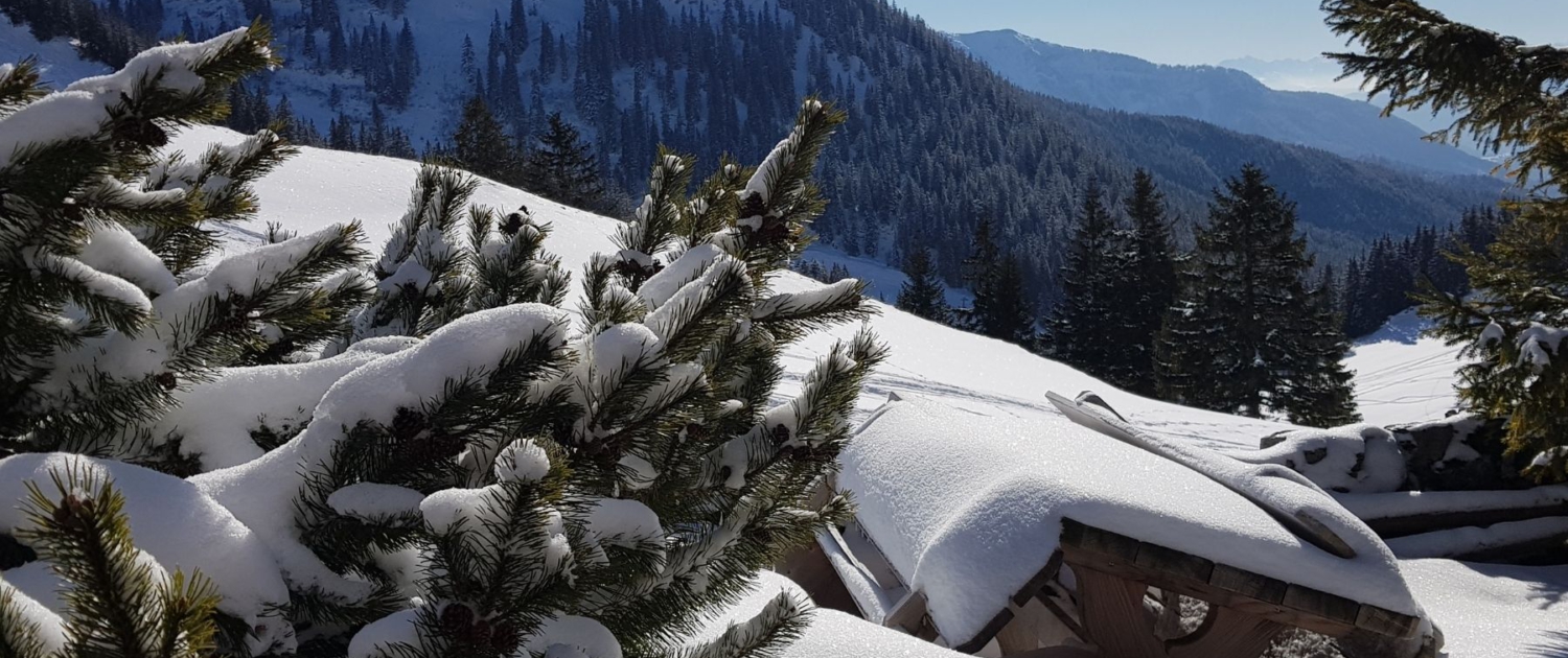 Mit Schneeschuhen auf den Jägerkamp: Obere Schönfeldalm