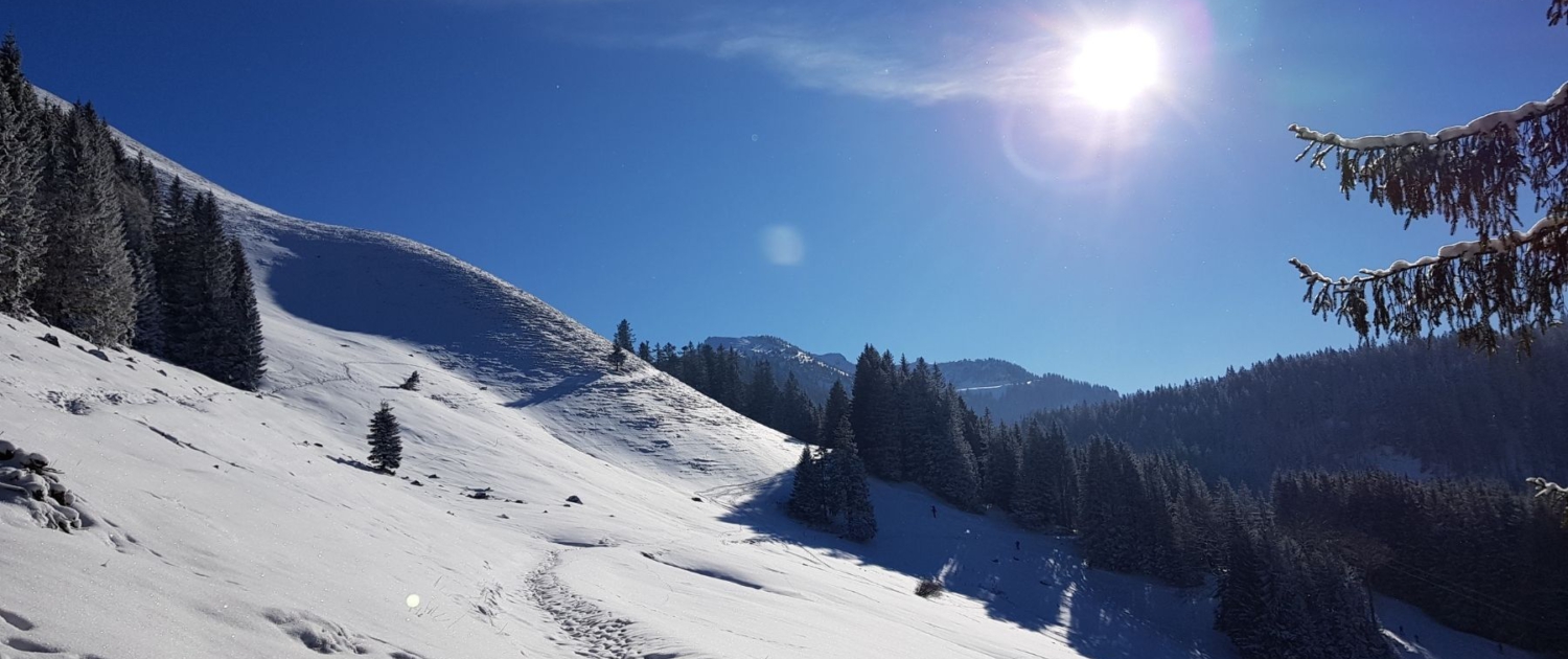 Mit Scheeschuhen auf den Jägerkamp: Wegweiser zur Alm