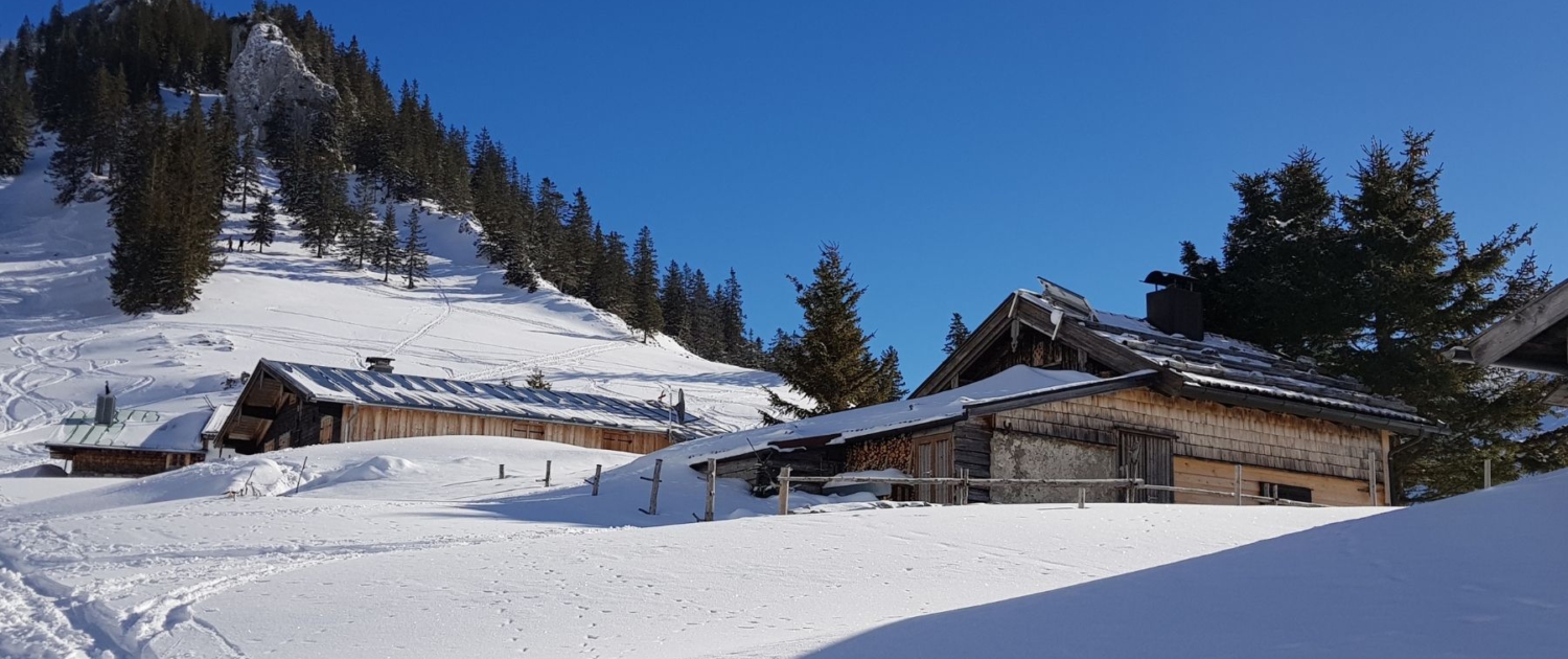 Mit Schneeschuhen zum Jägerkamp: Obere Schönfeldalm