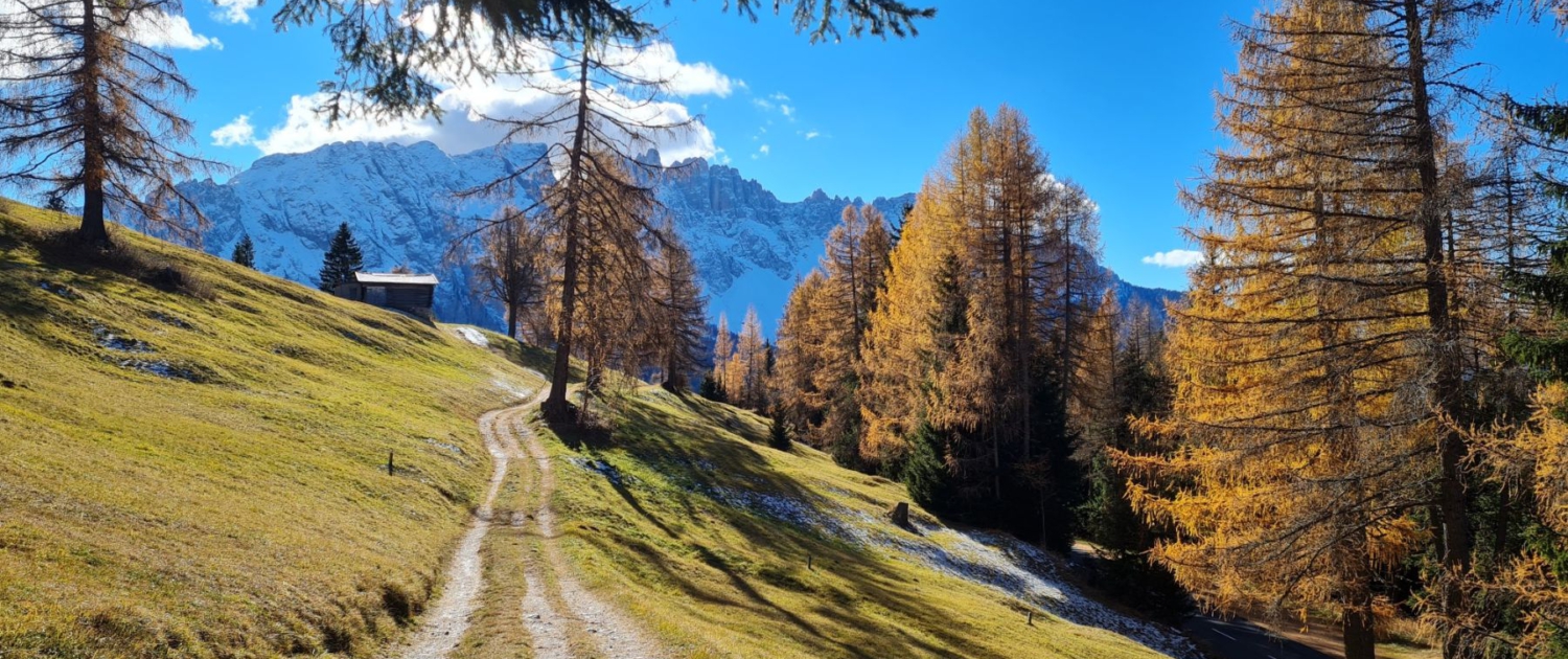 Wanderung Karersee: Weg zum Karerpass mit Latemar