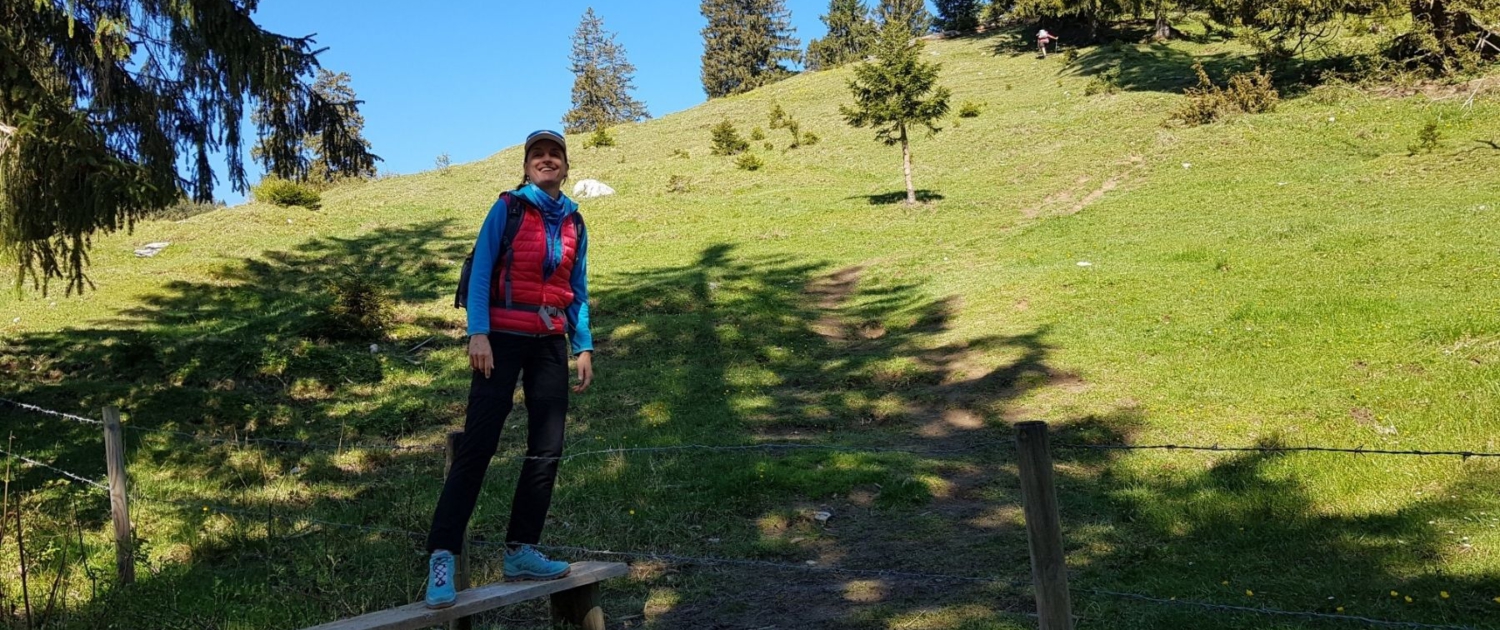 Wanderung auf die Lacherspitze - Überquerung Holzsteg