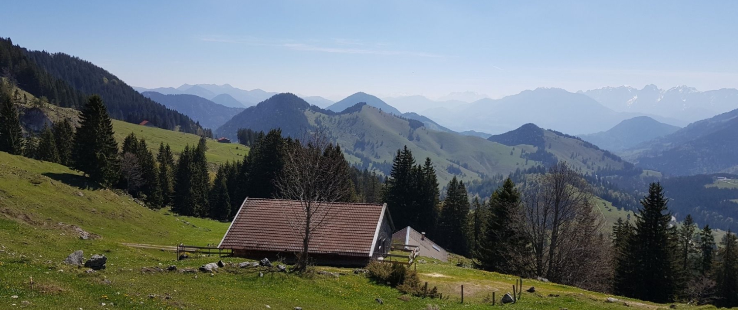 Wanderung auf die Lacherspitze - Untere Lacheralm