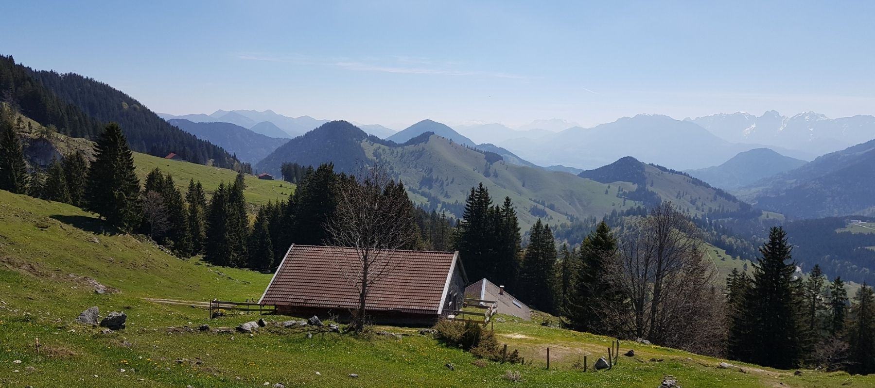 Wanderung auf die Lacherspitze - Untere Lacheralm