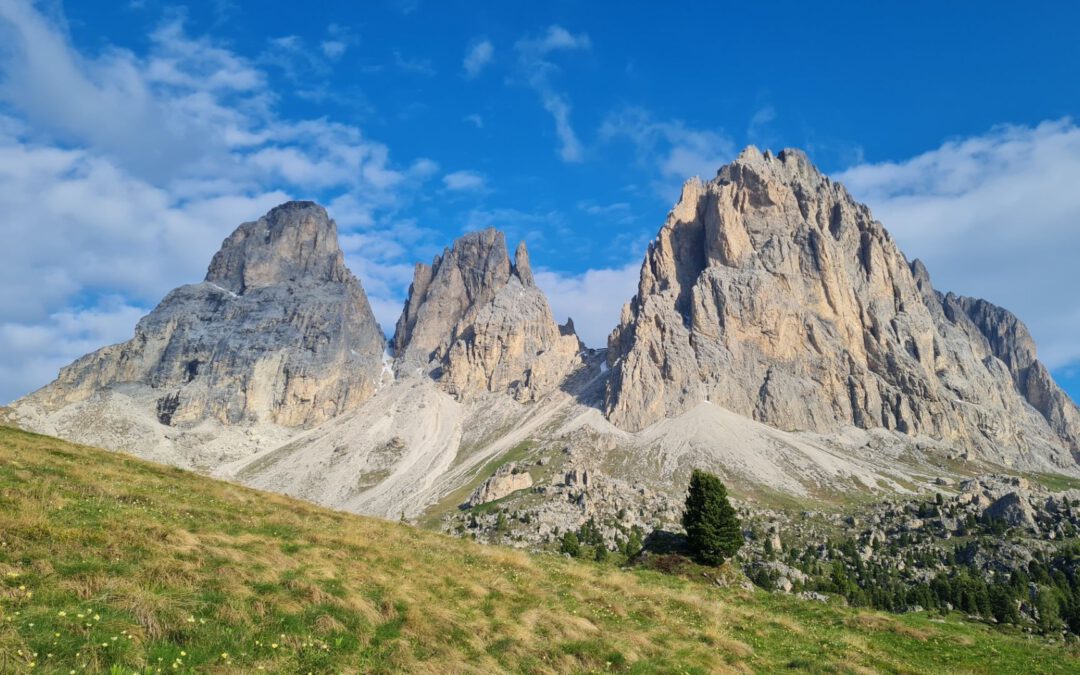 Wanderung auf dem Friedrich-August Weg