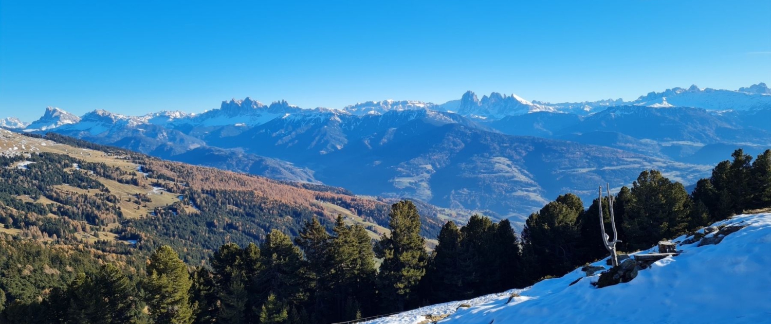 Wanderung Lorenzispitze - Traumhafter Fernblick