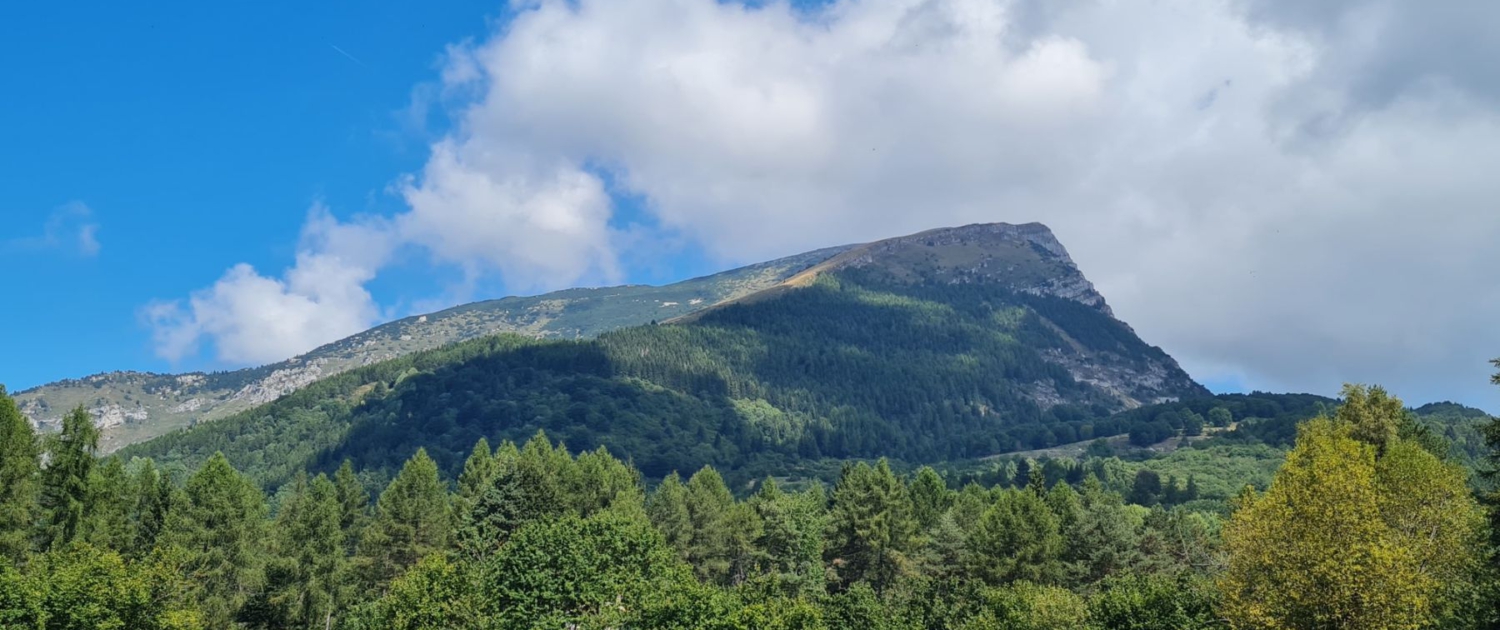 Wanderung Monte Stivo - Gipfelblick