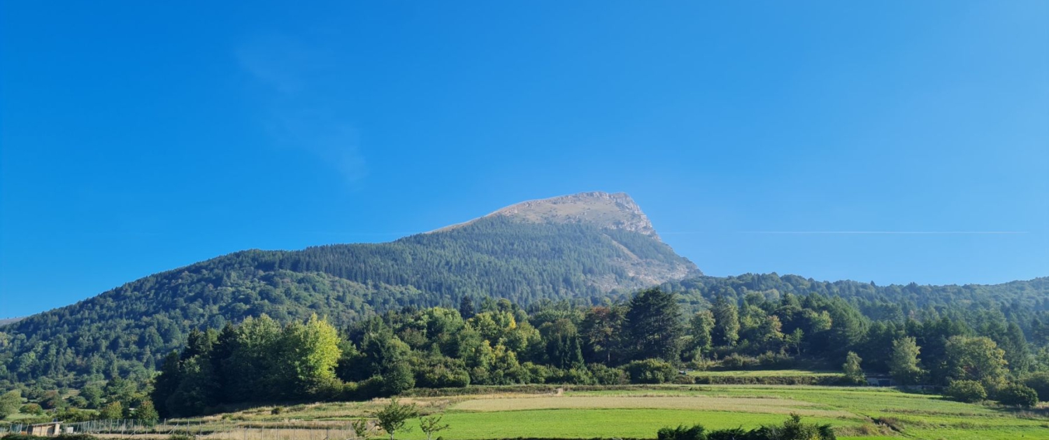 Wanderung auf den Monte Stivo - Gipfelblick