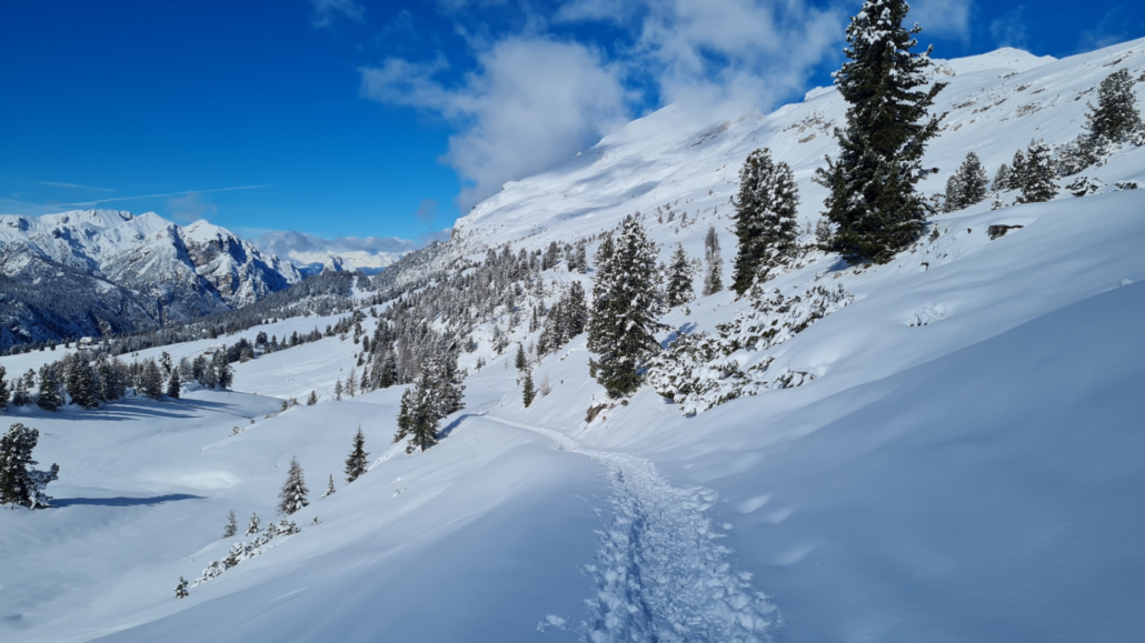 Winterwanderung Strudelkopf - Rückweg 