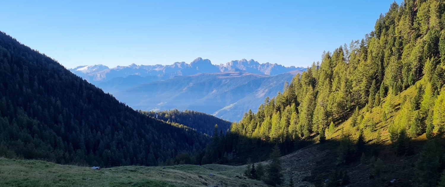 Wanderung Plattnerspitze - Aufstieg zur Plattner Alm