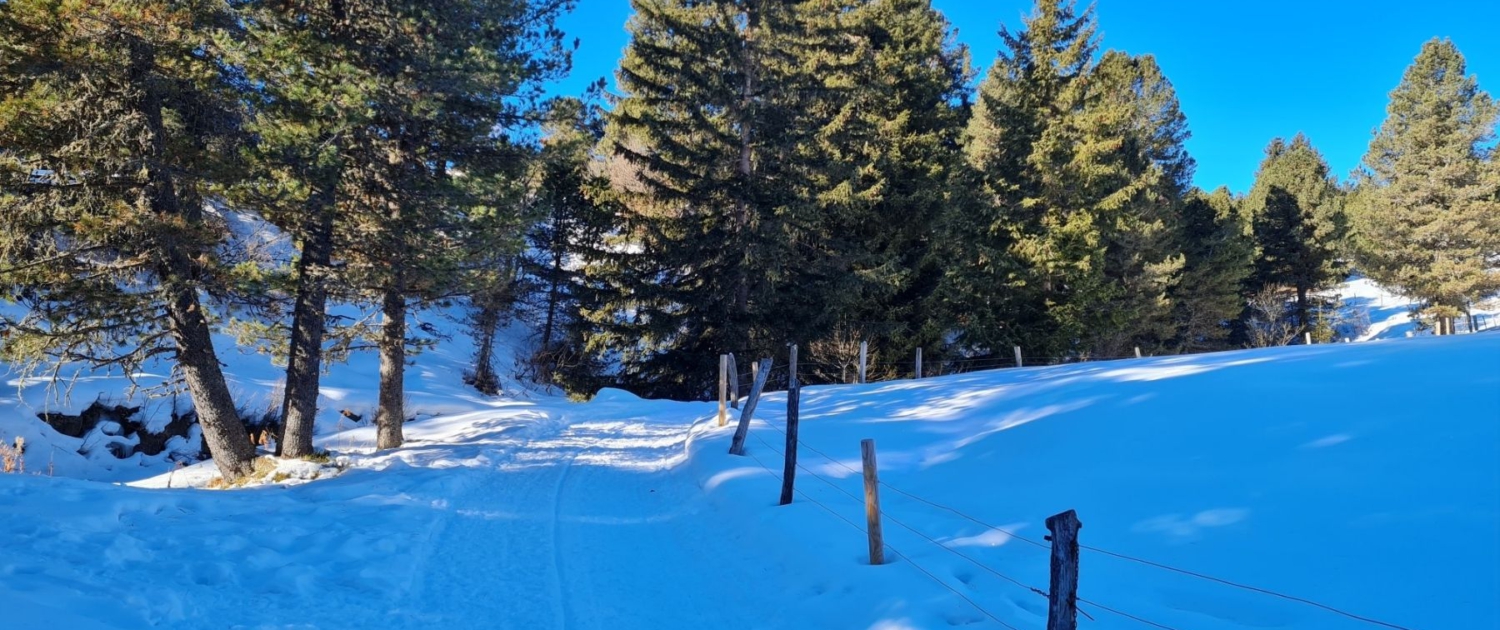 Winterwanderung Rittner Horn - Start 