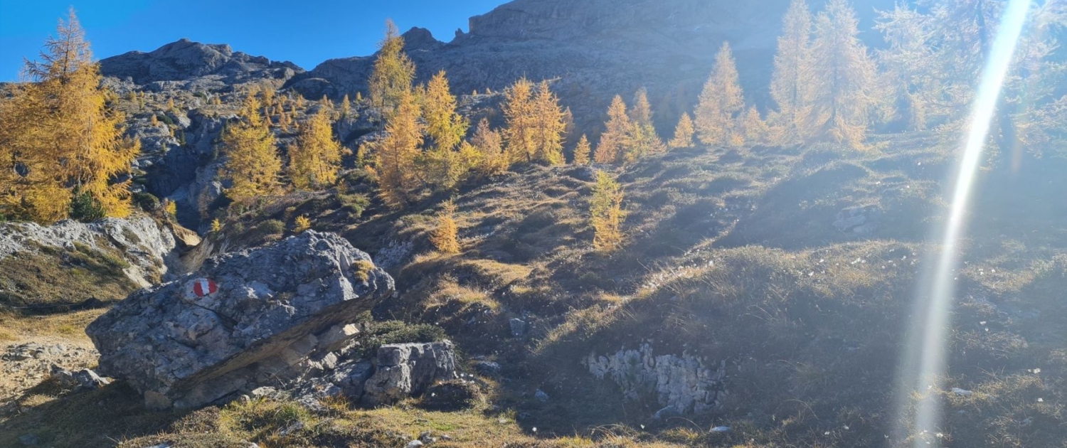 Wanderung Settsass - Rückweg auf der Nordseite