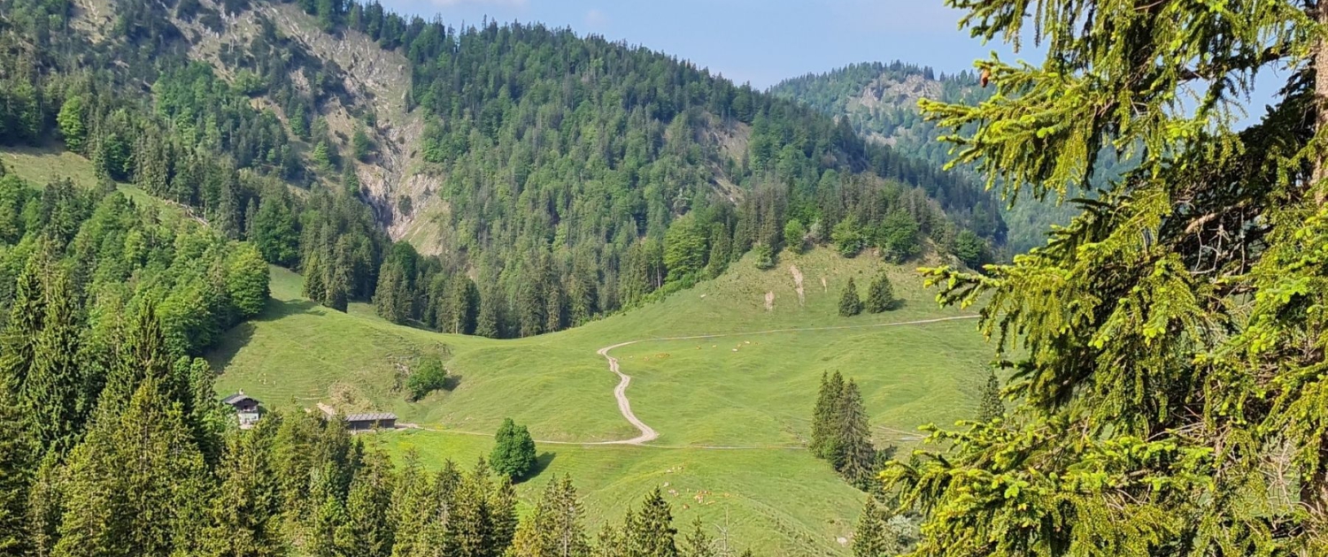 Wanderung Schildenstein - Königsalm