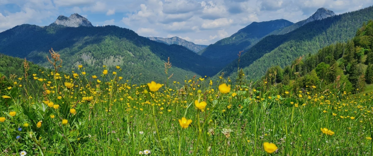 Wanderung Schildenstein - Pause auf der Bergwiese