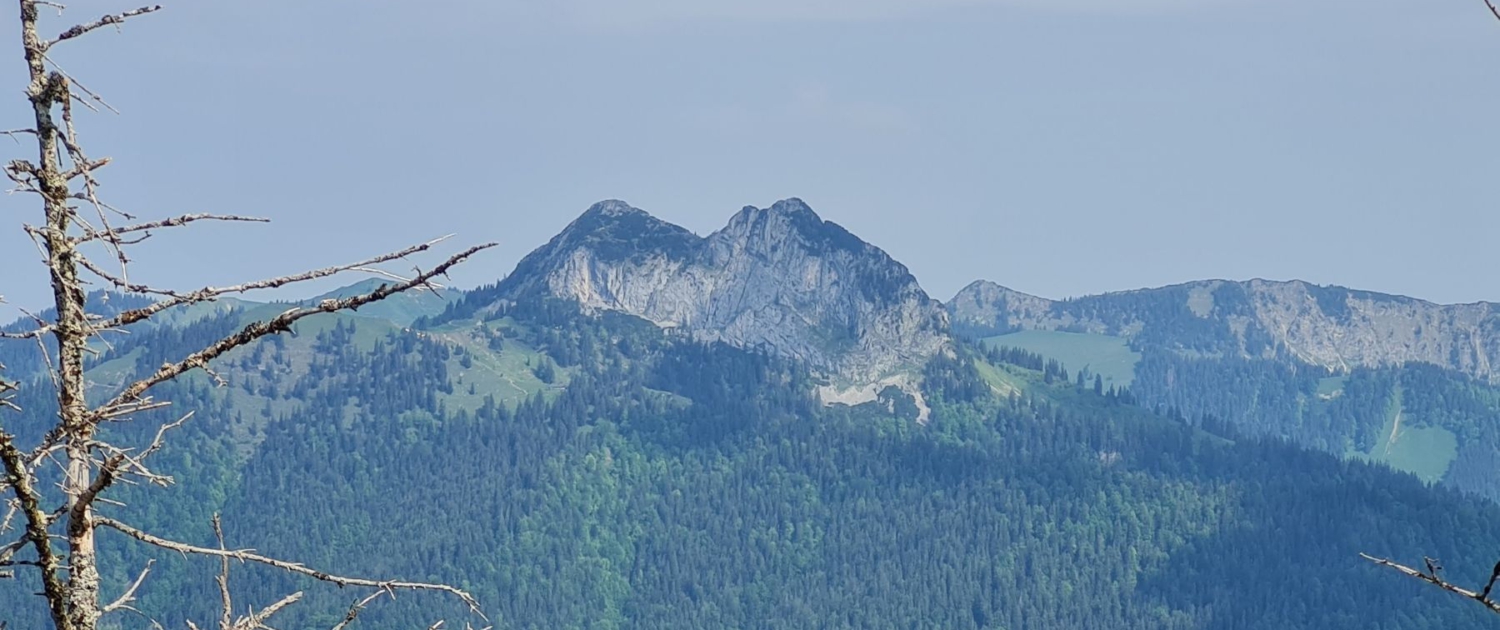 Wanderung auf den Schildenstein - Blick auf Roß- und Buchstein