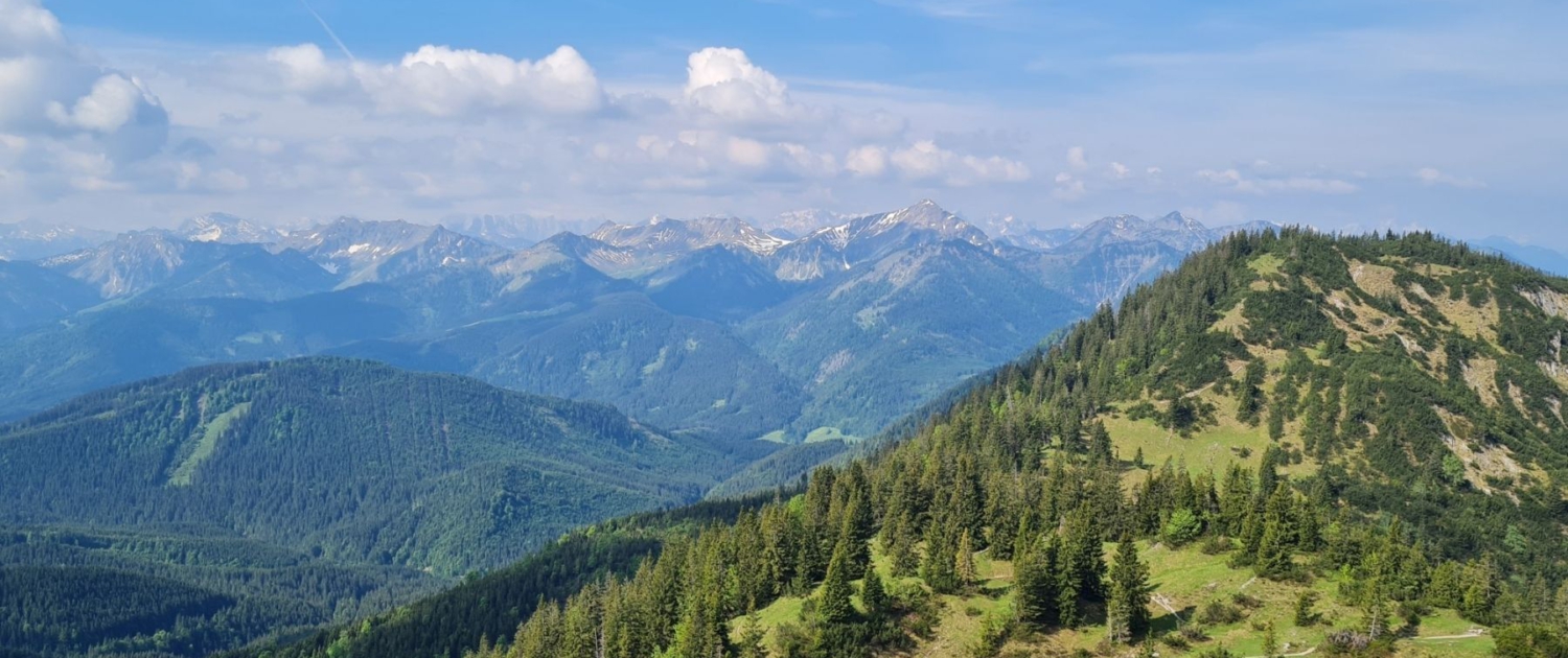 Schildenstein - Gipfelblick nach Süden