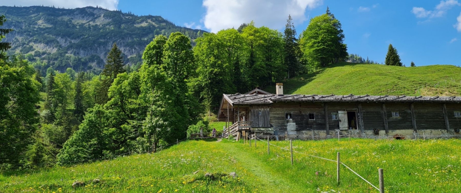 Wanderung auf den Schildenstein - Königsalm 