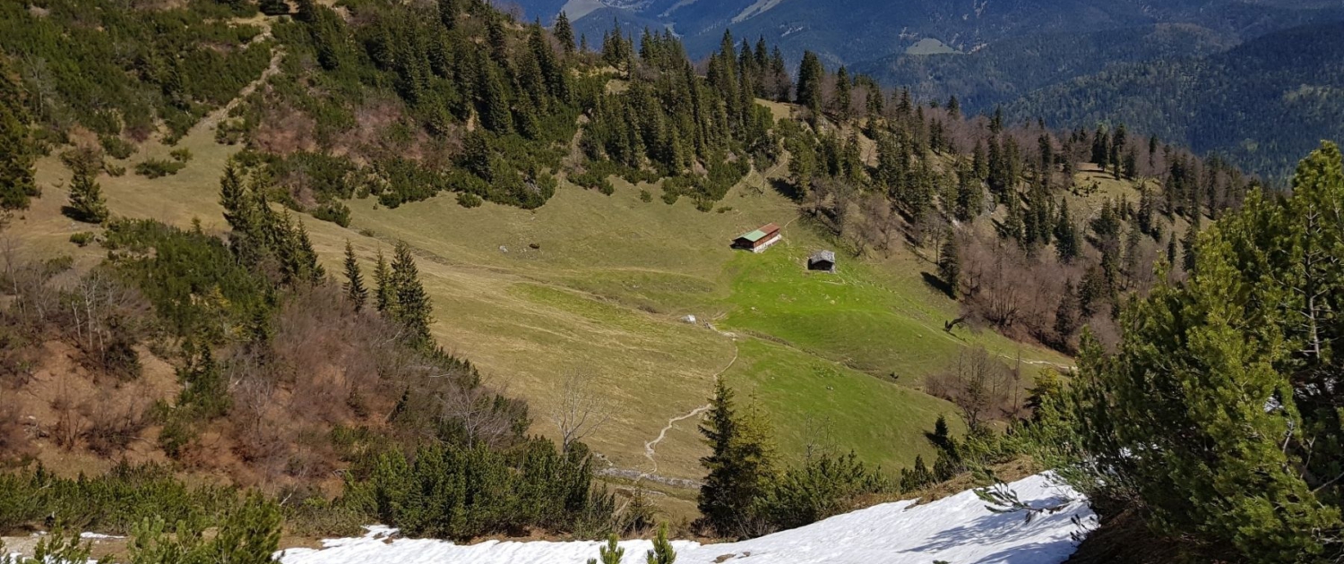 Wanderung auf den Schinder - Abstieg übers Schneefeld zur Trausnitzalm