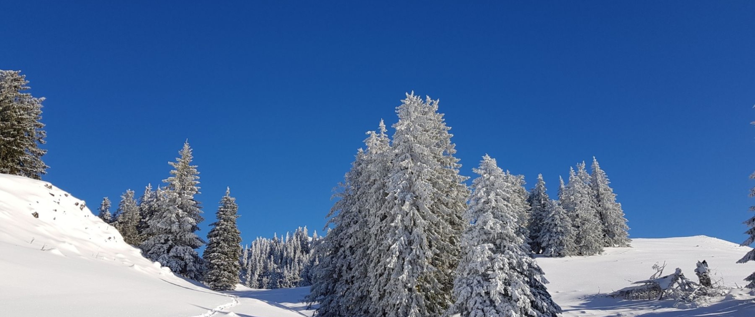 Schneeschuhwandern - 6 wichtigsten Tipps