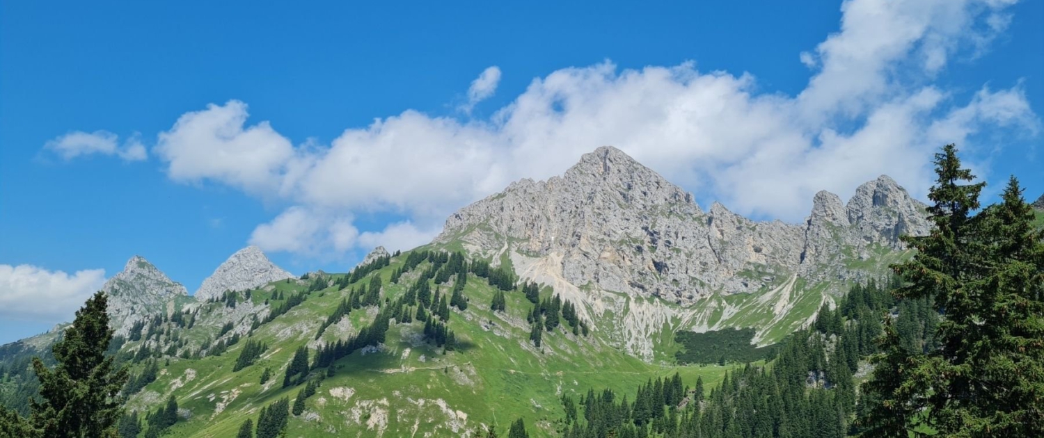 Wanderung zur Schneetalalm - Blick auf die Köllenspitze