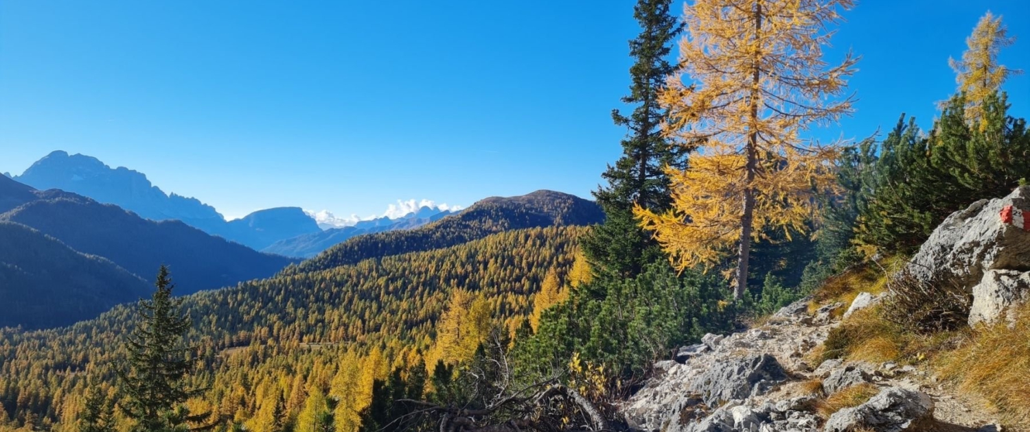 Wanderung auf den Settsass - Blick nach Süden