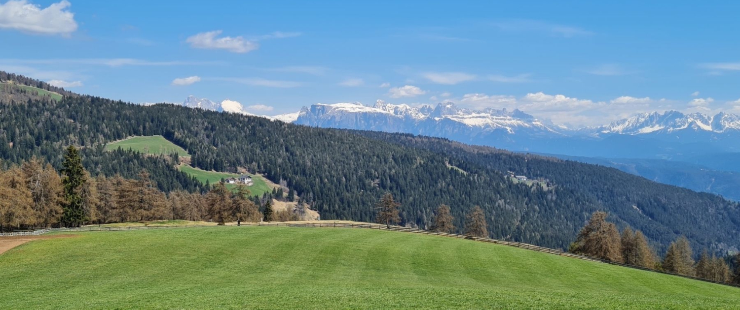 Wanderung Stoanerne Mandl - Blick auf die Dolomiten