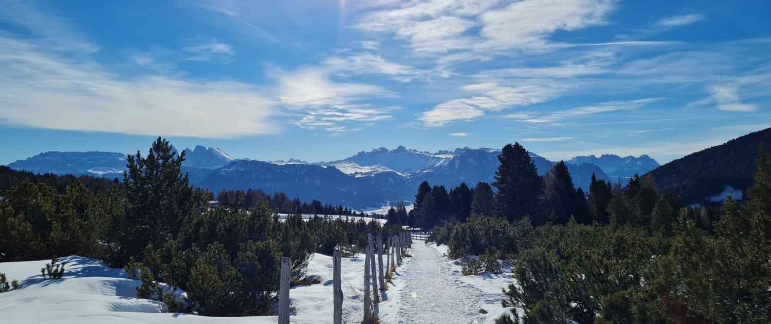 Winterwanderung Totenkirchl - Weg über Almen