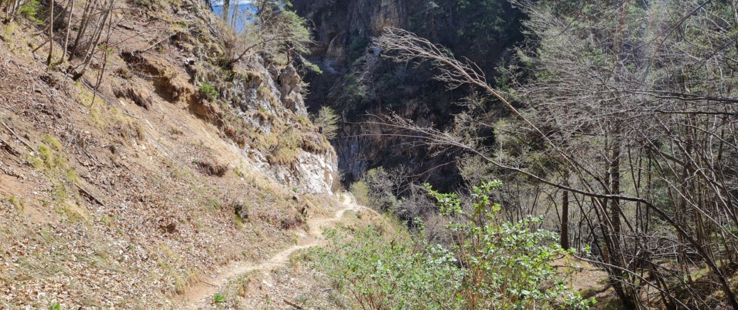 Traminer Höhenweg - Abstieg ins Höllental