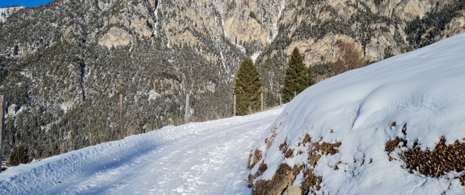 Tschamintal - Winterwanderung mit Schneeschuhen