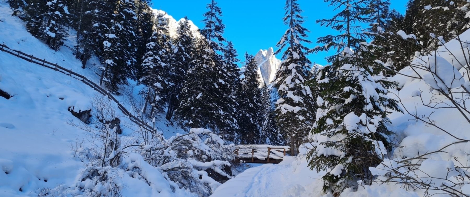 Tschamintal - Verschneite Holzbrücke 