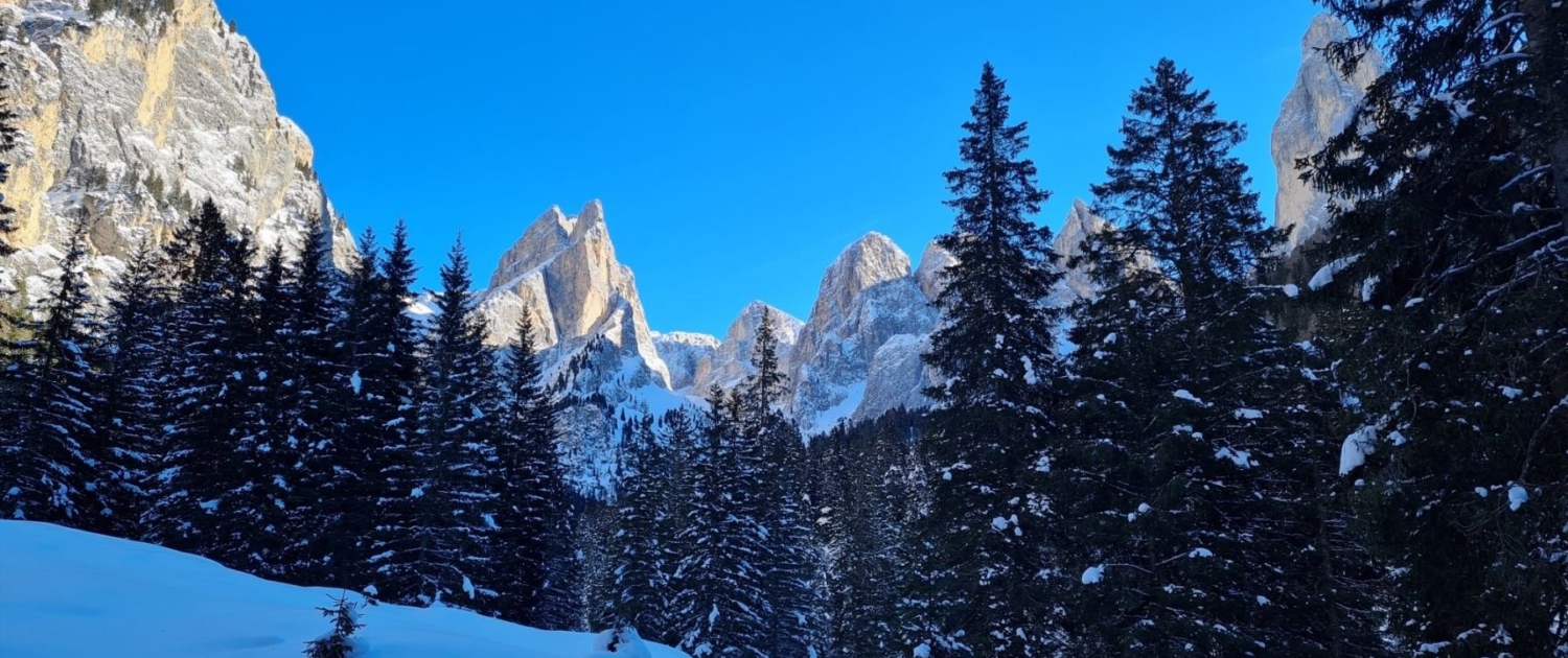 TOP 3 Winterwanderungen Südtirol : Tschamintal