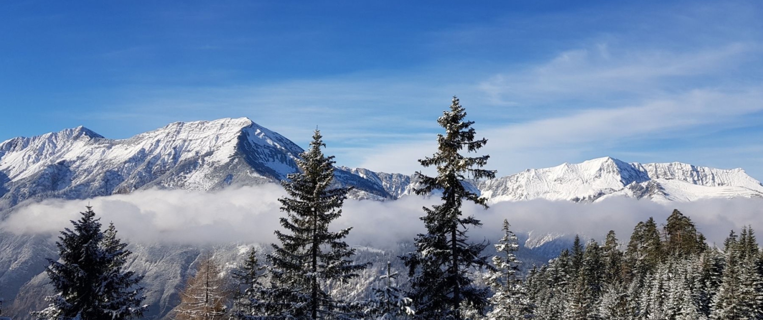 Blick auf Seekarspitze